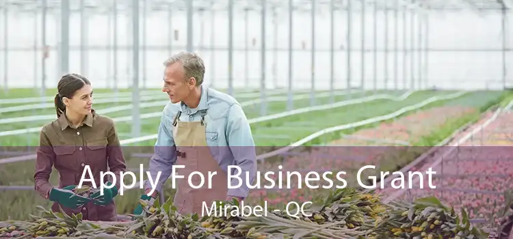 Apply For Business Grant Mirabel - QC